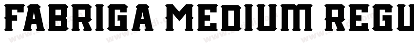 Fabriga Medium Regul字体转换 Fabriga Medium Regul字体转换